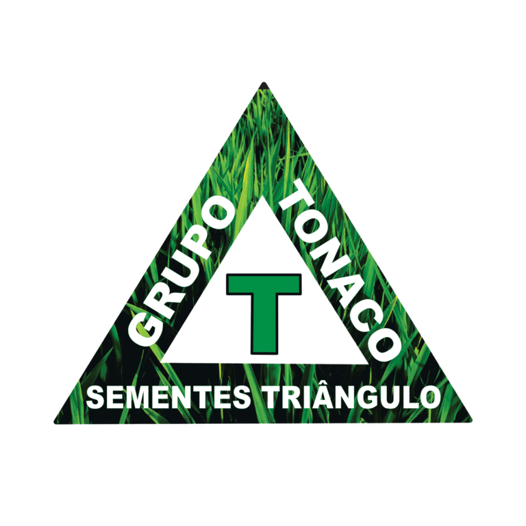 Início 64 logo triângulo .pdf
